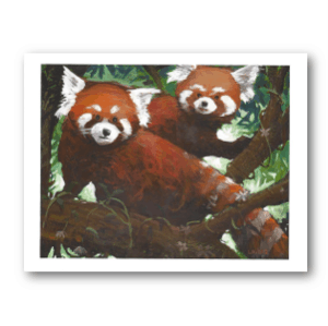 Red Panda Gift Card Set