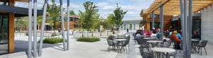 Entry & Wander: Entry Plaza