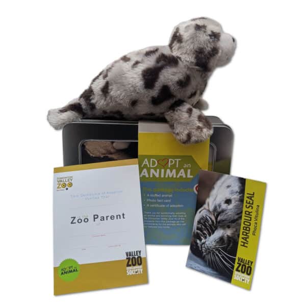 EVZ Adopt an Animal Harbour Seal Package