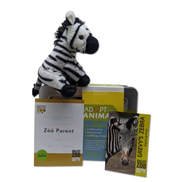 EVZ Adopt an Animal Grevy's Zebra Package