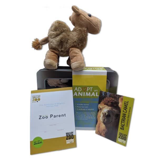 EVZ Adopt an Animal Bactrian Camel Package