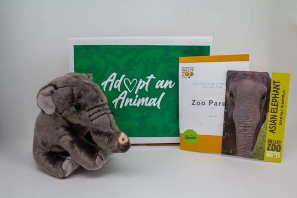 Image showing what you receive with a $75 dollar Asian Elephant package.