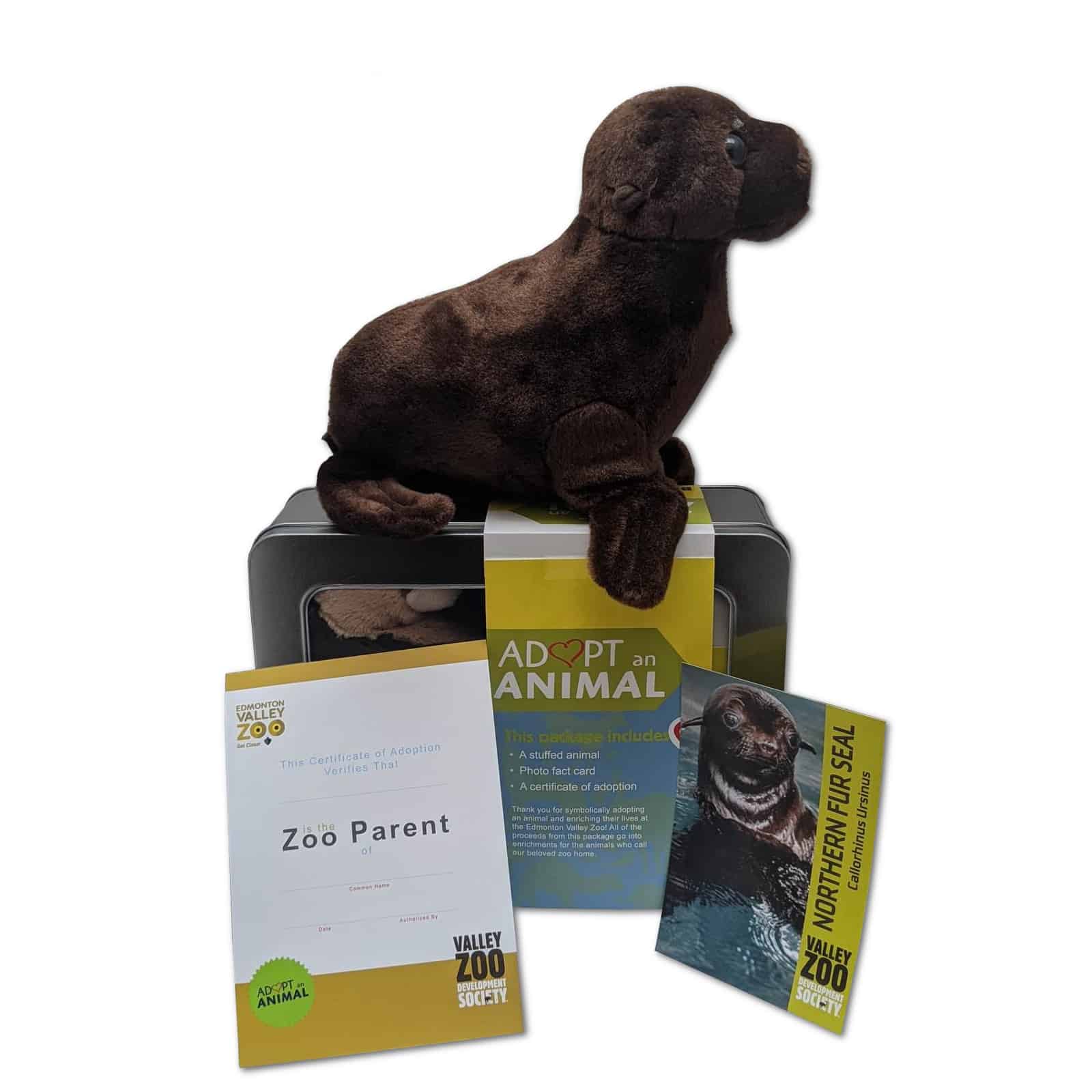 $75 Adopt an Animal Fur Seal - Adopt An Animal - Shop VZDS