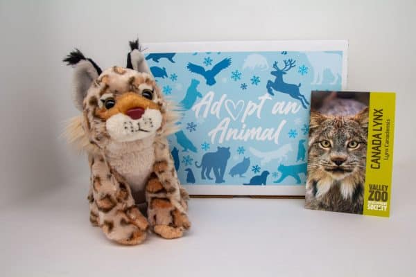 Image showing what you receive with a $75 dollar Canada Lynx package.