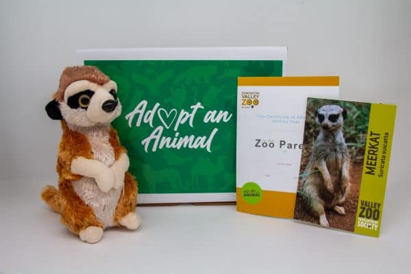 Image showing what you receive with a $75 dollar Meerkat package.