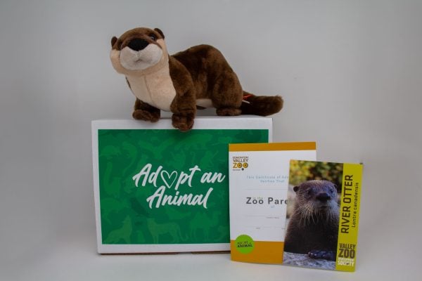 Image showing what you receive with a $75 dollar River Otter package.