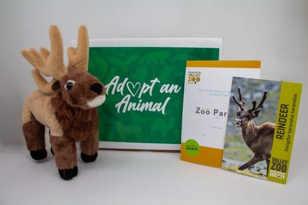 Image showing what you receive with a $75 dollar Reindeer package.