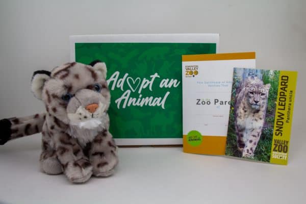Image showing what you receive with a $75 dollar Snow Leopard package.