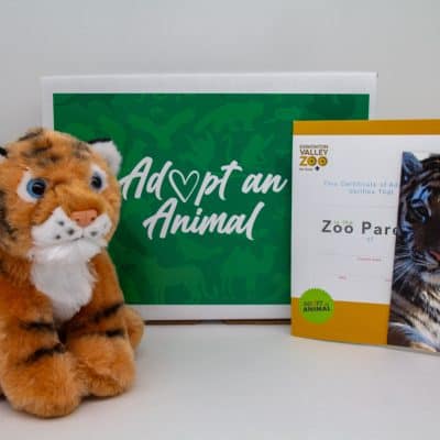 Image showing what you receive with a $75 dollar Tiger package.
