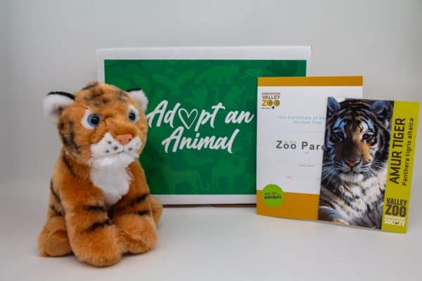 Image showing what you receive with a $75 dollar Tiger package.