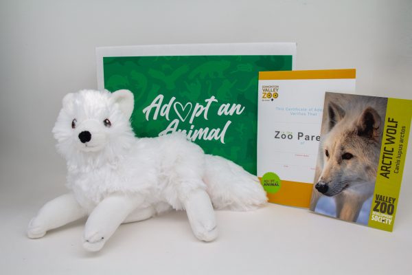 Image showing what you receive with a $75 dollar Artic Wolf package.