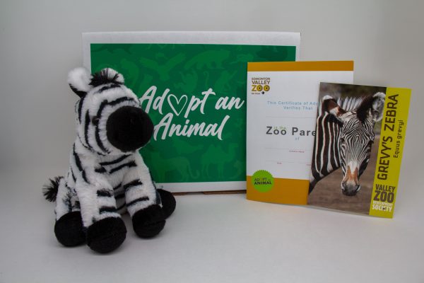 Image showing what you receive with a $75 dollar Zebra package.
