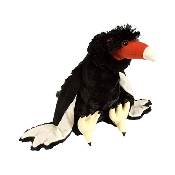 CK Turkey Vulture 12