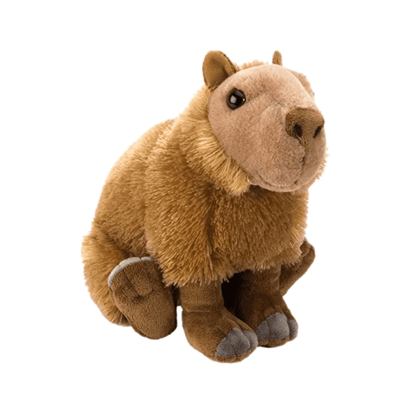 CK adorable Capybara 12" stuffed animal.