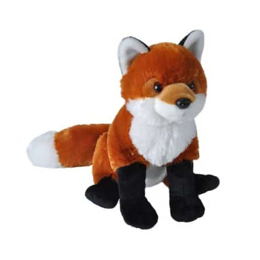 CK Red Fox 12"
