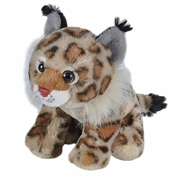 CK Mini Bobcat - 8" plush stuffed animal