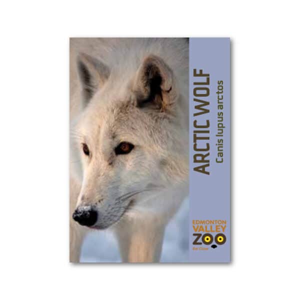 EVZ Artic Wolf Animal Magnet