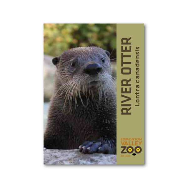 EVZ River Otter Animal Magnet
