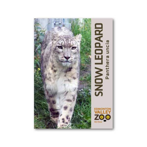 EVZ Snow Leopard Animal Magnet