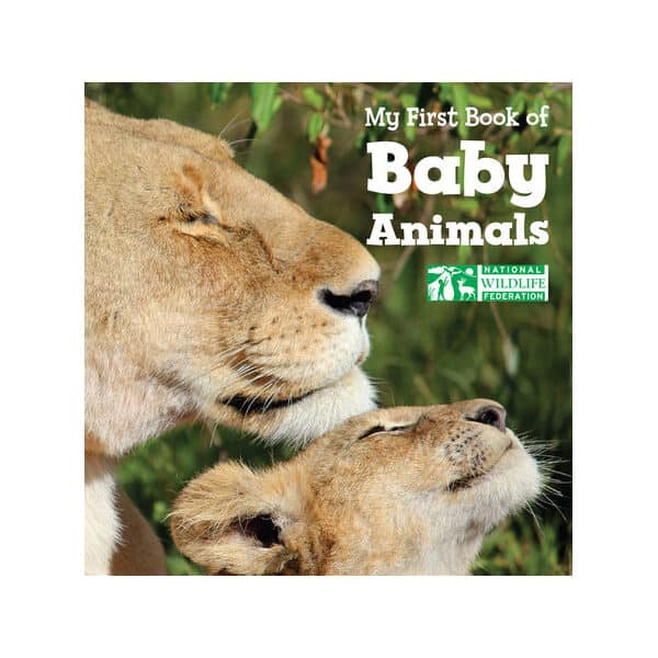 Book Cover: My First Book of Baby Animals