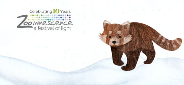 Photo of poster - Celebrating 10 years - Zoominescence a festival of light