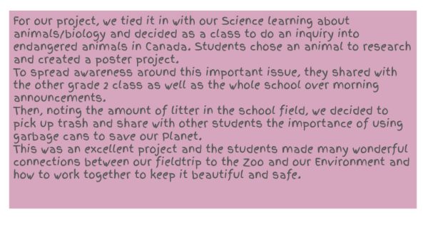 St Pius X 2a plan for execution of their Endangered Animals Project 2024