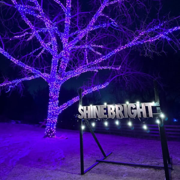 Zoom2024-15 The Shinebright photo opportunity with illuminated tree.
