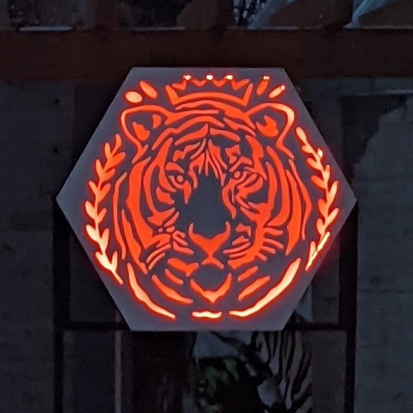 Zoom2024-16 Illuminating Hexigon Tiger face