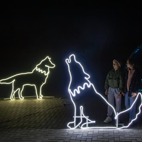 Zoom2024-16 Event atendies look at the illuminated wolf sillouette.