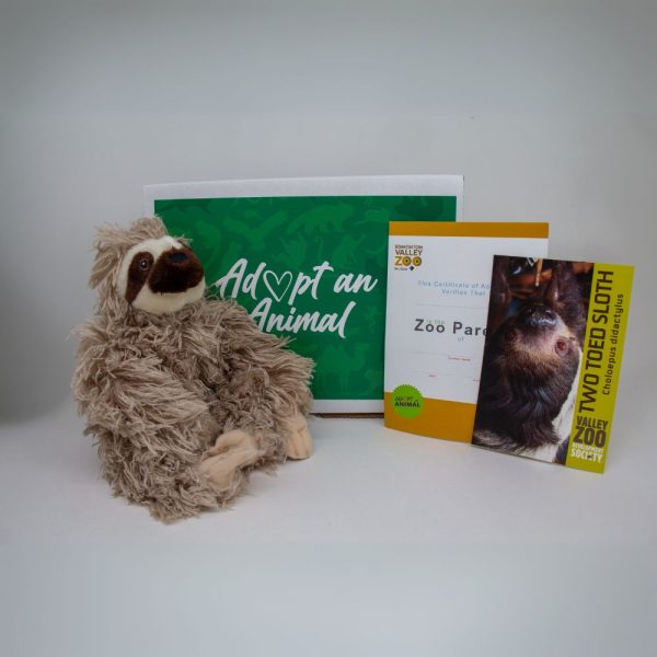An image of what you receive when you purchase an Adopt an Animal Sloth package.