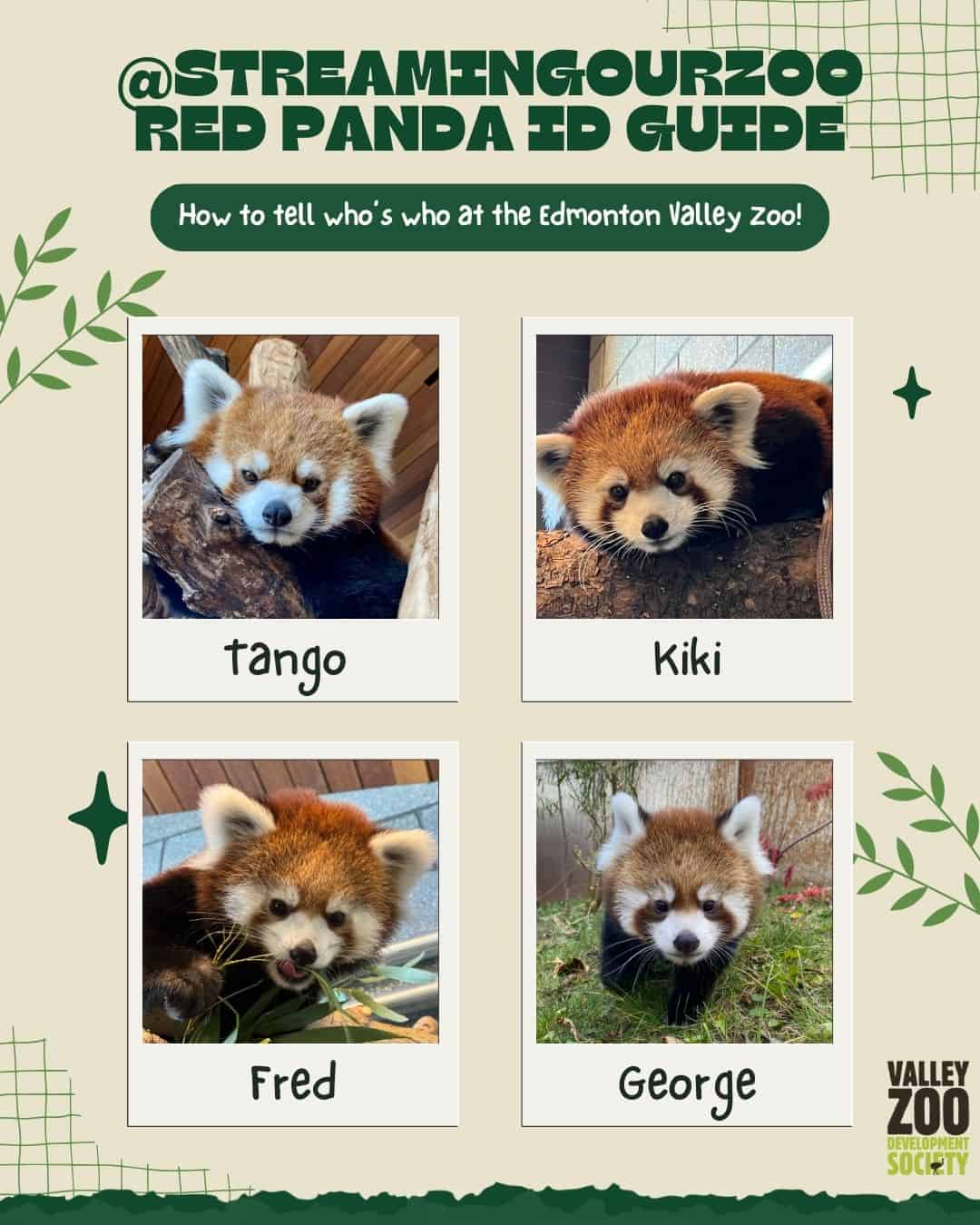 EVZ Red Panda ID Guide - Twitch