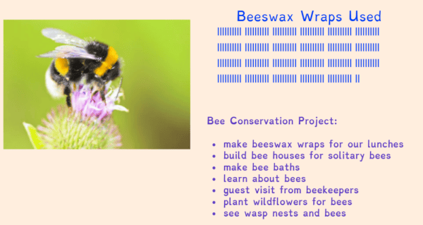 High Park Grade 3-4 Split Project 2025: Beeswax Wrap Tally