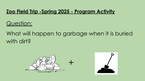 St. Bernadette Project 2025: Page 1