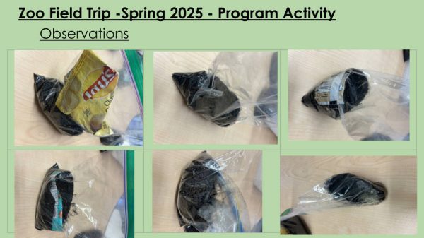 St. Bernadette Project 2025: Page 8