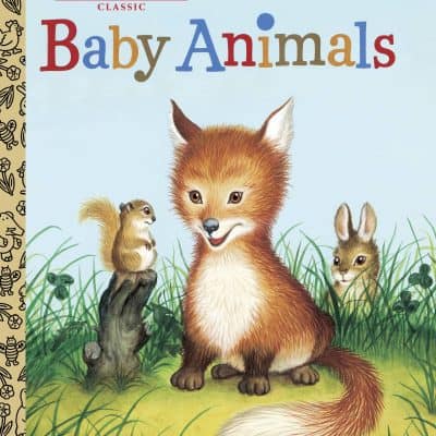 Book - LGB - Baby Animals