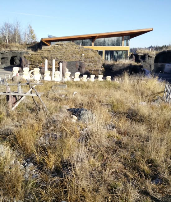 Aspen in fall colors along a bend in the Edmonton River Valley
