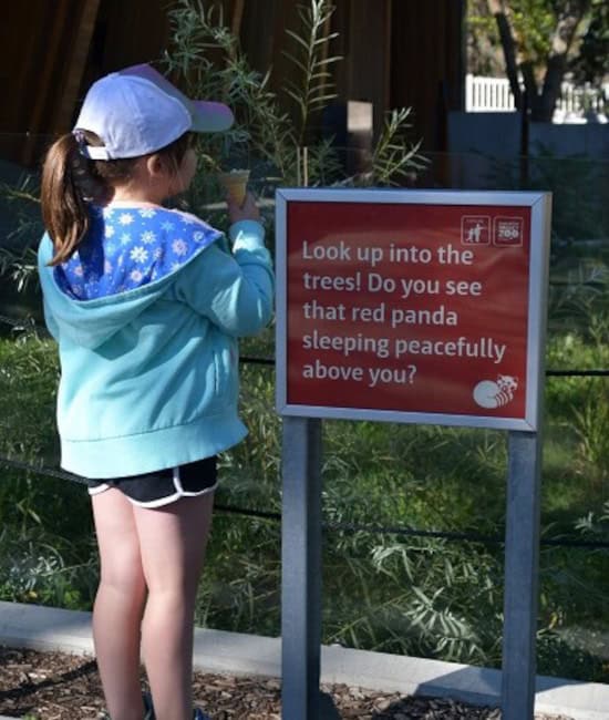 Aspen in fall colors along a bend in the Edmonton River Valley