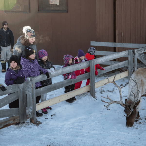 Children watch the reindeer at the Edmonton Valley Zoo