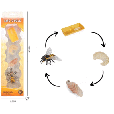Image of plastic bee life cycle figurines