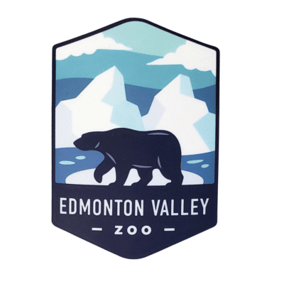 Image of a polar bear walking in a arctic landscape with Edmonton Valley Zoo underneath, made by stickers northwest