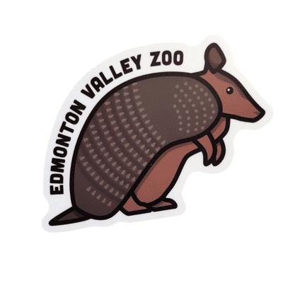 Image of a armadillo with Edmonton Valley Zoo above, made by stickers northwest