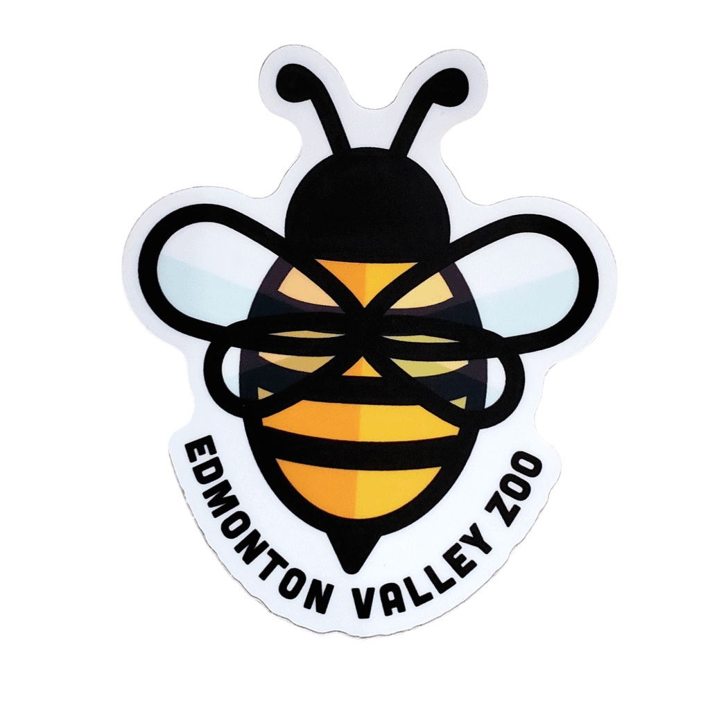 Image of a bee with Edmonton Valley Zoo underneath, made by stickers northwest