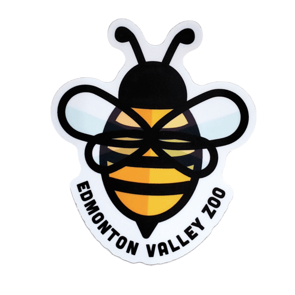 Image of a bee with Edmonton Valley Zoo underneath, made by stickers northwest