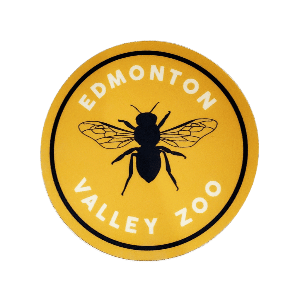 Bee Circle Image of a circular sticker with a bee in the middle and Edmonton Valley Zoo above, made by stickers northwest