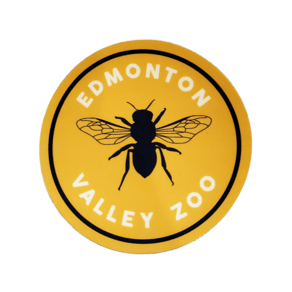 Image of a circular sticker with a bee in the middle and Edmonton Valley Zoo above, made by stickers northwest