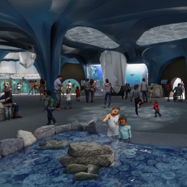 A view of the R. Mollot Arctic Wolf habitat.