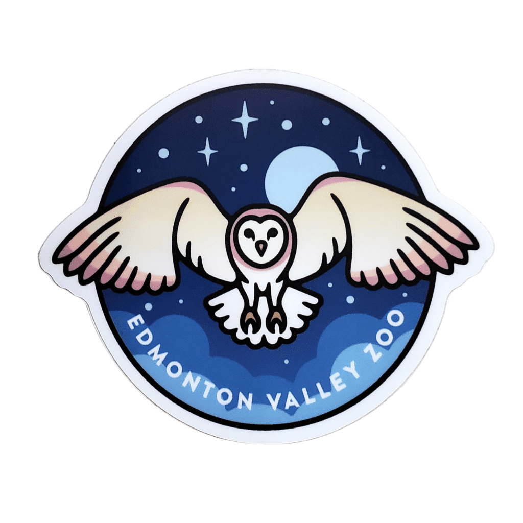Image of a sticker of a barn owl flying with the words Edmonton Valley Zoo underneath, made by Stickers Northwest