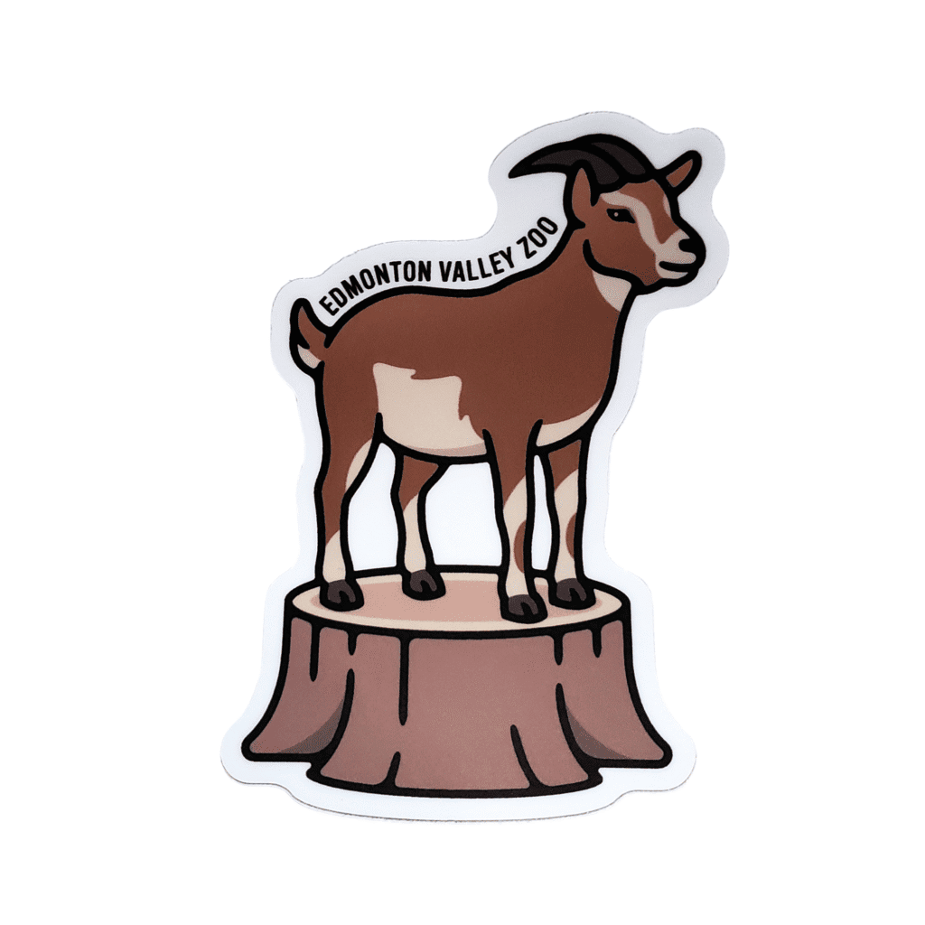 Goat Image of a goat standing on a stump with Edmonton Valley Zoo above, made by stickers northwest