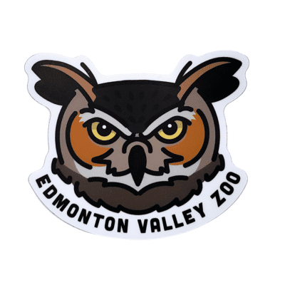Image of a great horned owl face sticker with Edmonton Valley Zoo above, made by stickers northwest