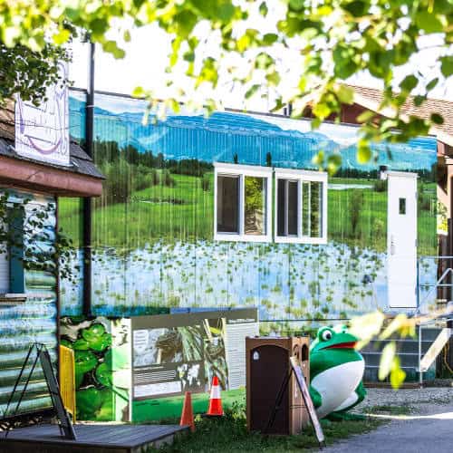 An image of the conservation carousel with the lights on.